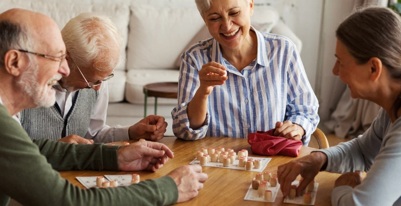 les-residences-seniors-pres-des-forets-bretonnes-une-option-apaisante-en-ille-et-vilaine